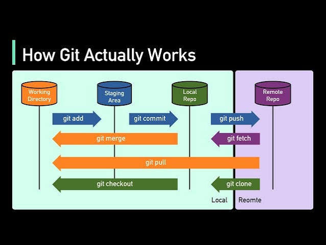 How Git actually works: git add, commit, push, fetch, merge, pull, checkout and clone between the working directory, staging area, local repo and remote repo